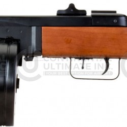 PPSH