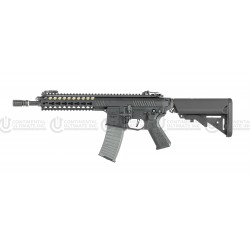 AVALON GLADIUS AEG(DX/BK)