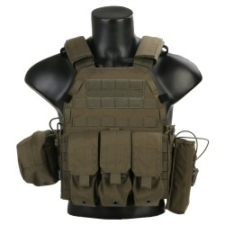 Emerson Gear BUSHMASTER Plate Carrier/RG